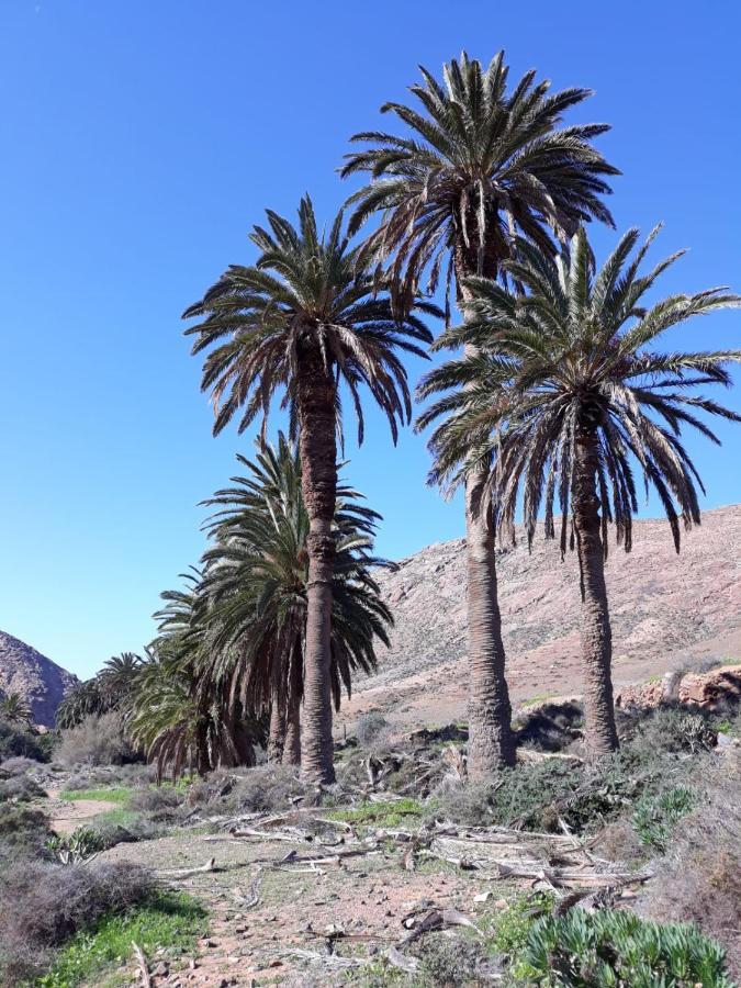 La Pradera Villa Antigua  Eksteriør billede